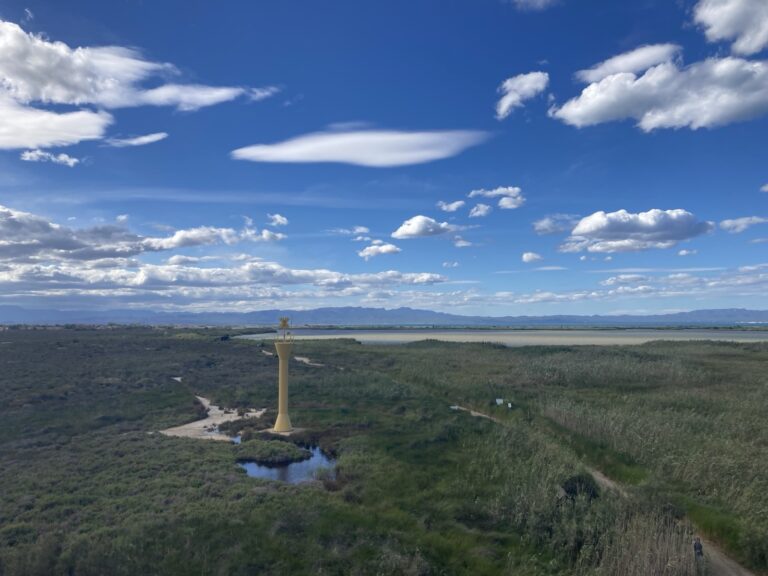 Delta de l’Ebre